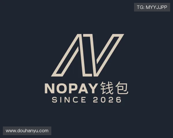 介绍NOPAY钱包